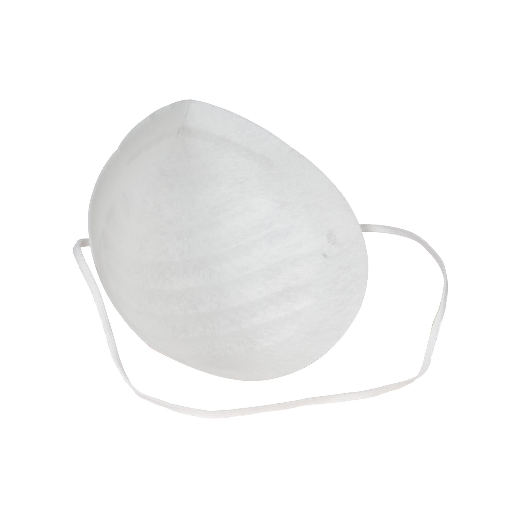 Disposable Dust Mask, Single Use, 50 count