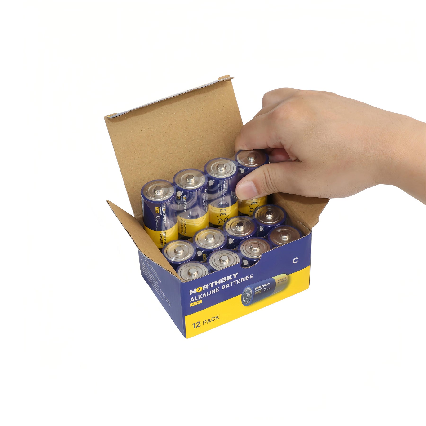 C Alkaline Batteries, 12 Pack